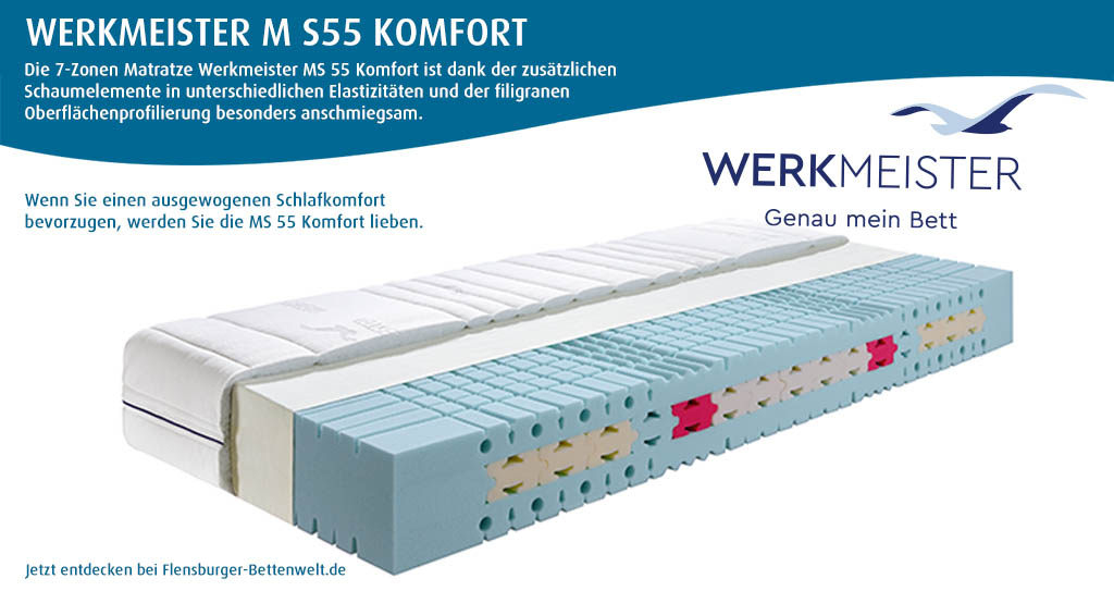 Werkmeister-M-S55-Komfort-Komfortschaum-Matratze-guenstig-kaufen
