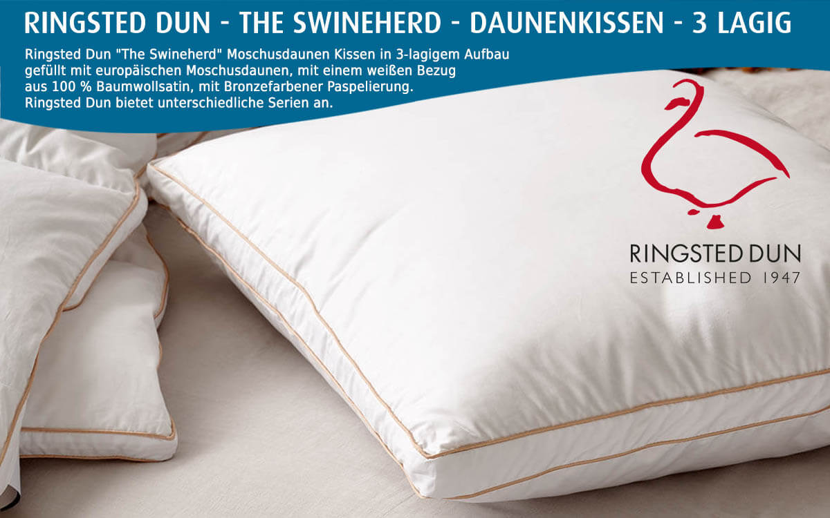 Ringsted-Dun-the-Swineherd-Daunenkissen-3-lagig-kaufen-Flensburger-Bettenwelt