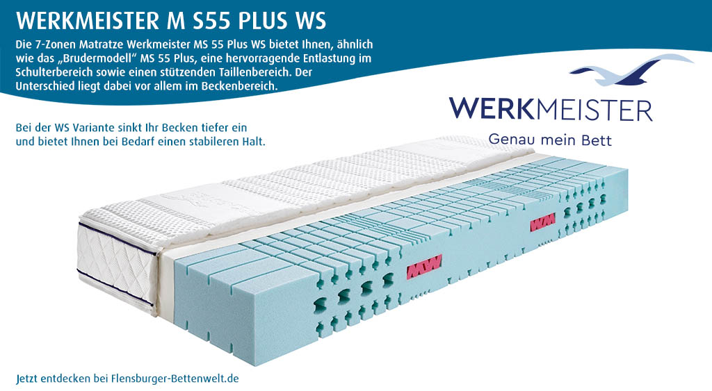 Werkmeister-M-S55-Plus-WS-Komfortschaum-Matratze-guenstig-kaufen