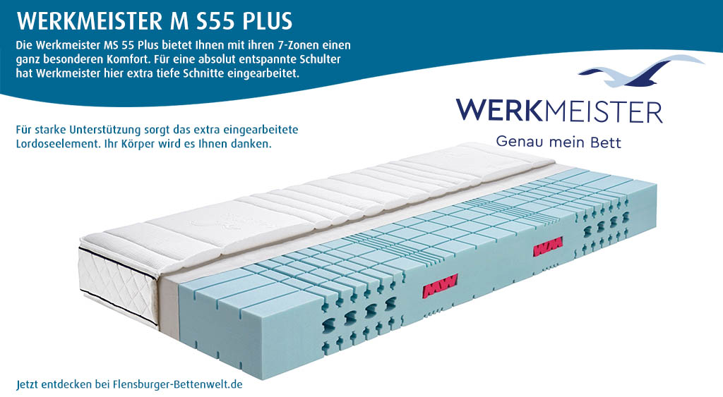 Werkmeister-M-S55-Plus-Komfortschaum-Matratze-guenstig-kaufen
