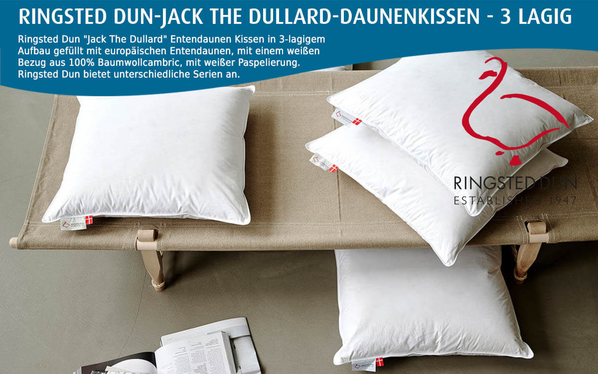 Ringsted-Dun-Jack-the-Dullard-Daunenkissen-3-lagig-kaufen-Flensburger-Bettenwelt